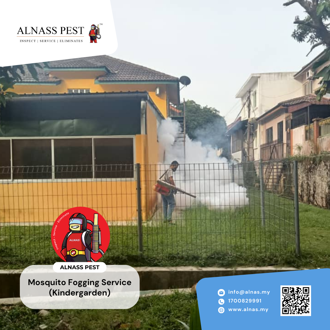 Fogging Kindergarten